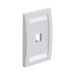 Placa de Pared Vertical Ejecutiva, Salida Para 1 Puerto Mini-Com, Con Espacios Para Etiquetas, Color Blanco Mate
